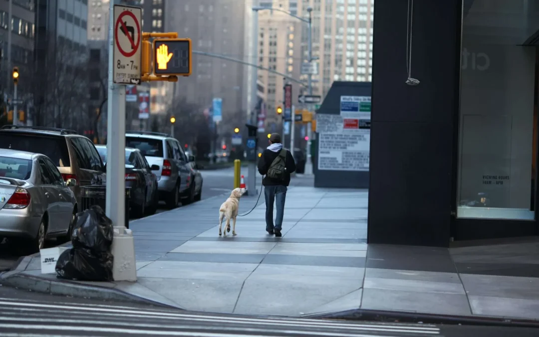 Leading Pedestrian Intervals (LPI) and Accessible Pedestrian Signals (APS)